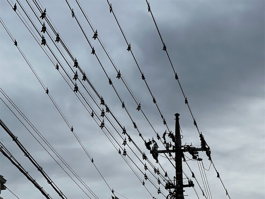 f:id:samso:20230212205559j:image