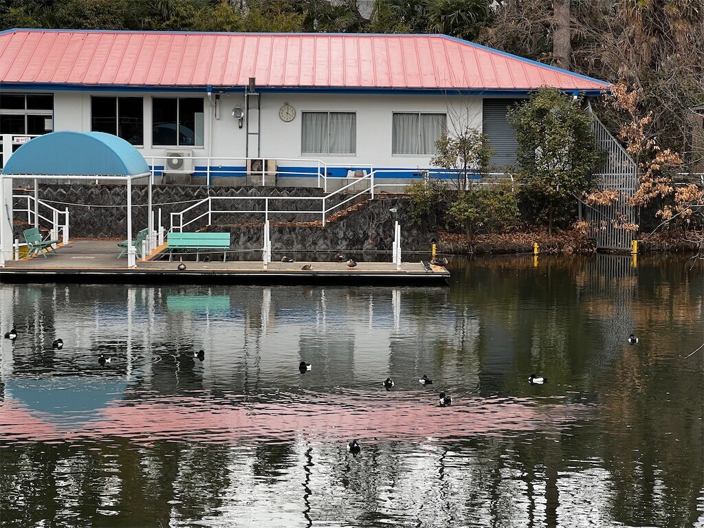 f:id:samso:20230212205602j:image