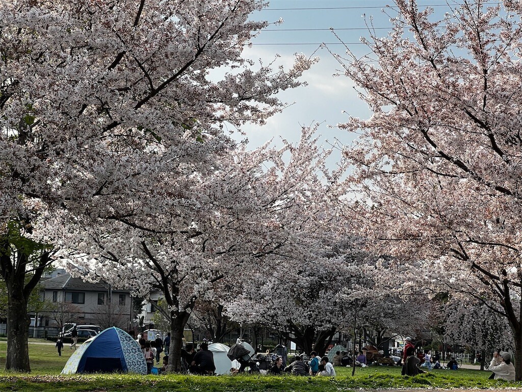 f:id:samso:20230401174841j:image