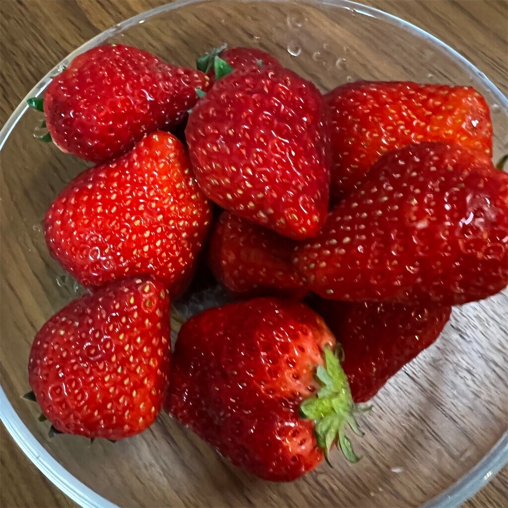 f:id:samso:20230415220905j:image