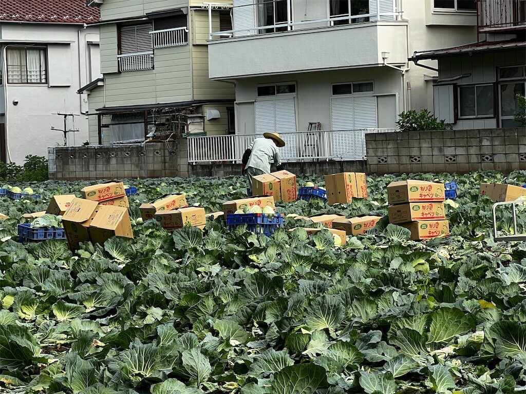 f:id:samso:20230619193855j:image