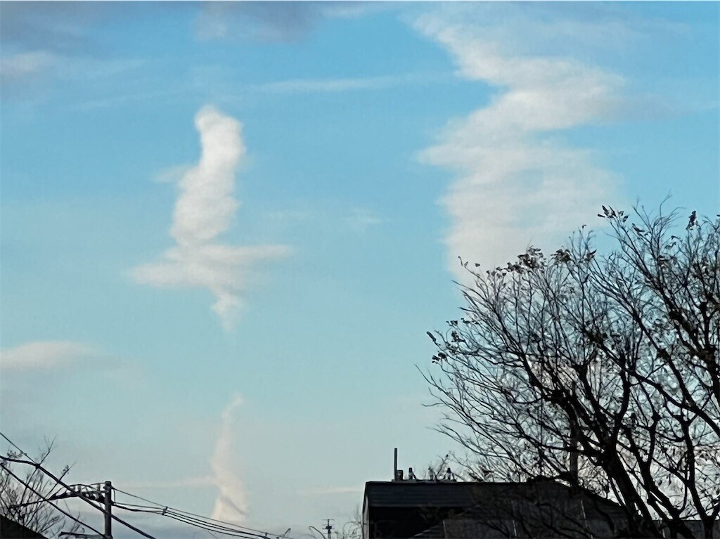 f:id:samso:20231227213701j:image f:id:samso:20231227213701j:image