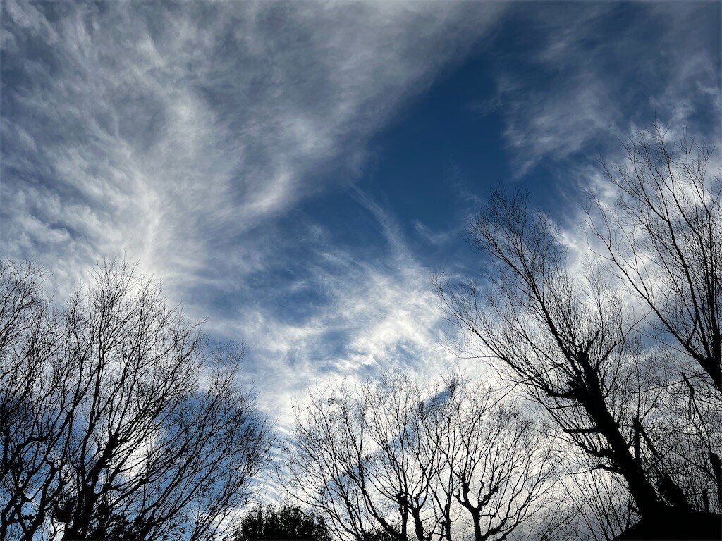 f:id:samso:20231227213704j:image f:id:samso:20231227213704j:image