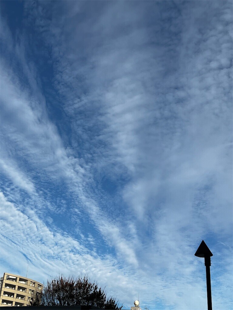 f:id:samso:20231227213743j:image f:id:samso:20231227213743j:image