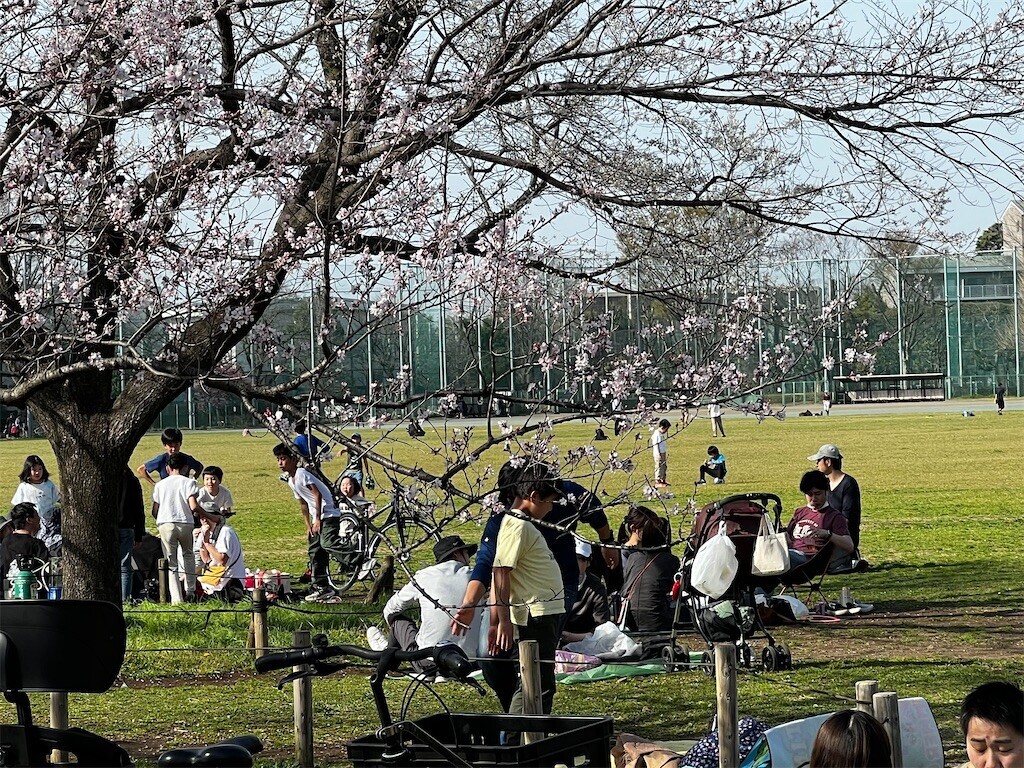 f:id:samso:20240330221206j:image