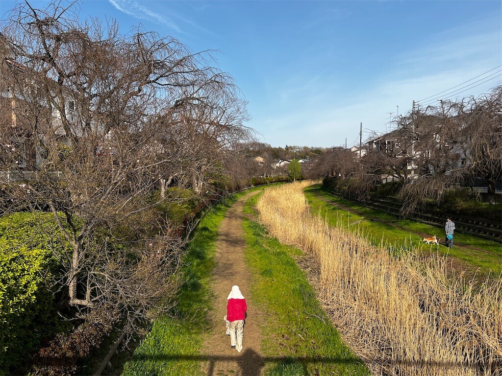 f:id:samso:20240330221230j:image