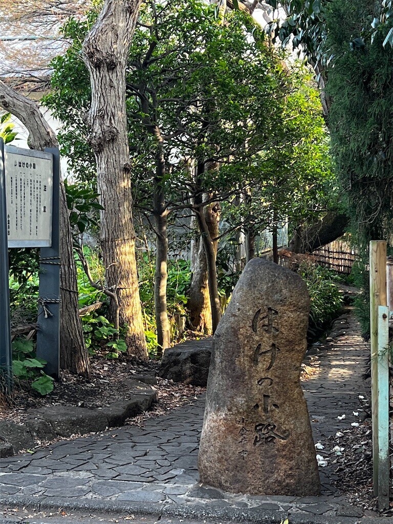 f:id:samso:20240330221249j:image