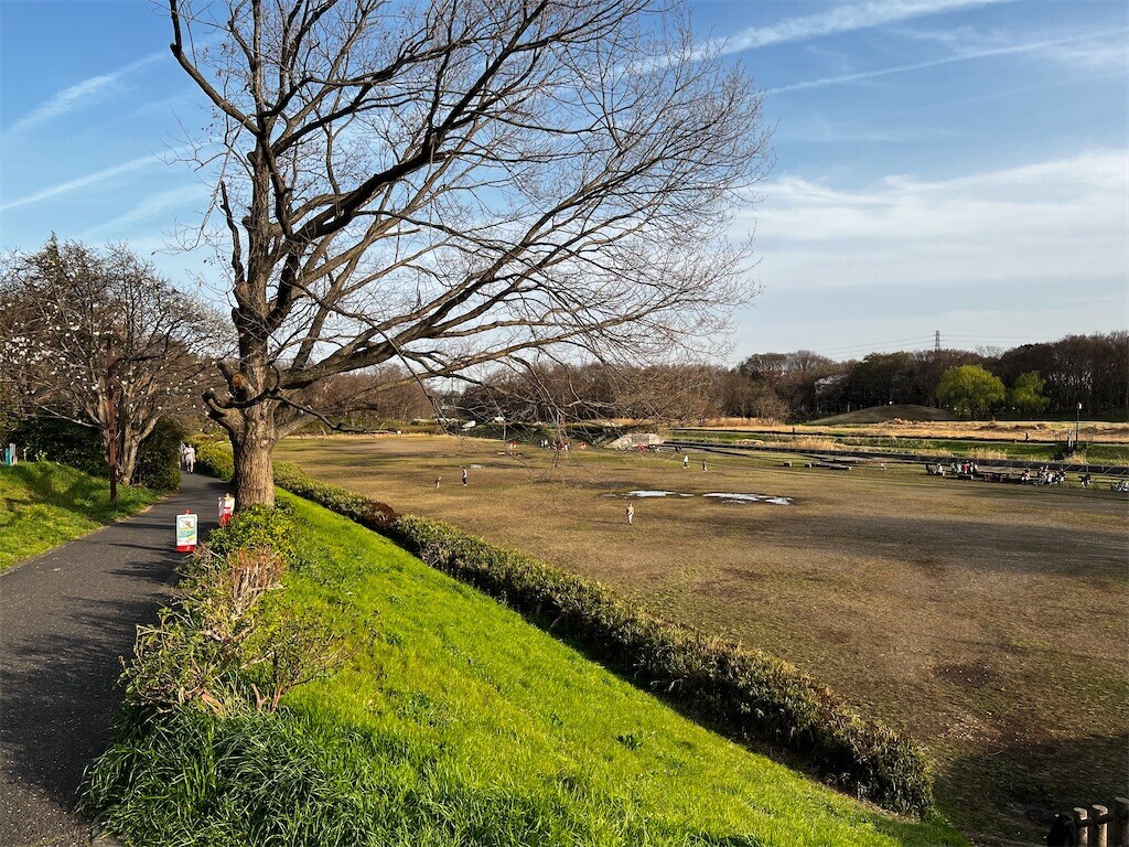 f:id:samso:20240330221459j:image