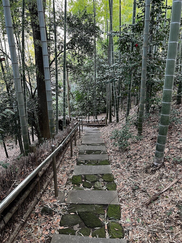 f:id:samso:20240330221502j:image