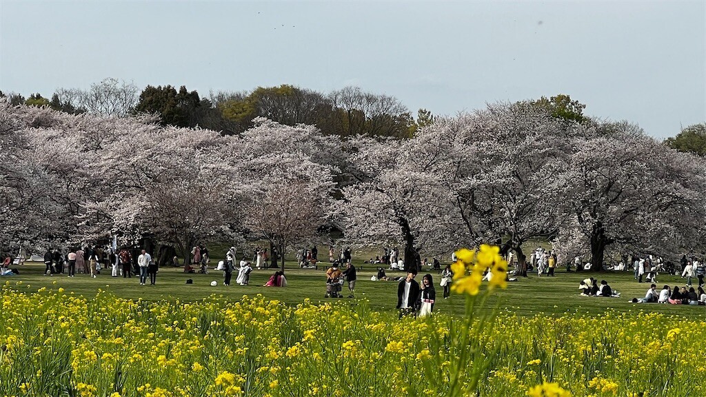 f:id:samso:20240411224851j:image