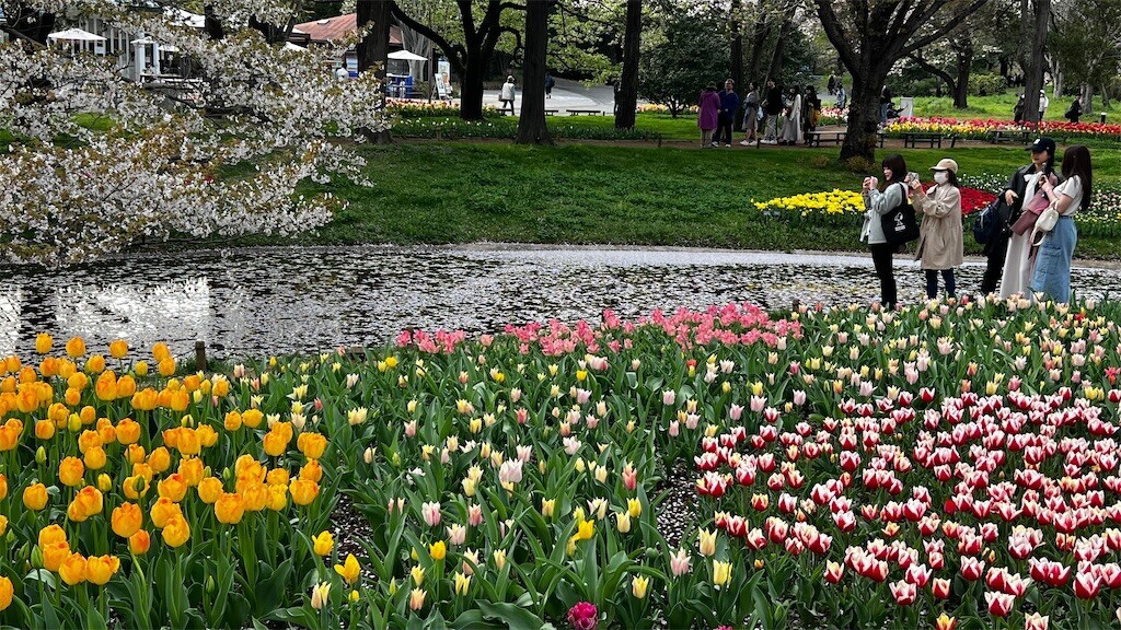 f:id:samso:20240411224955j:image