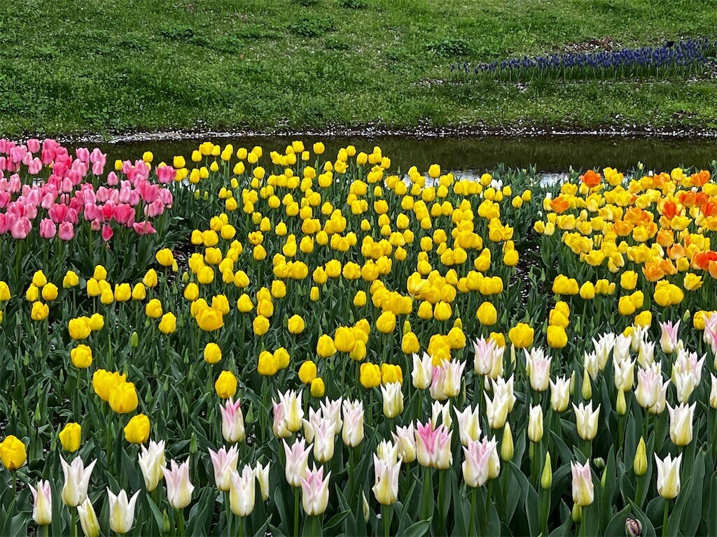 f:id:samso:20240411224958j:image