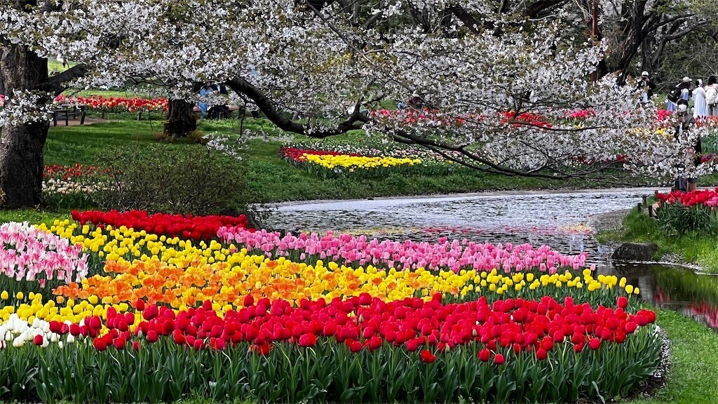 f:id:samso:20240411225001j:image