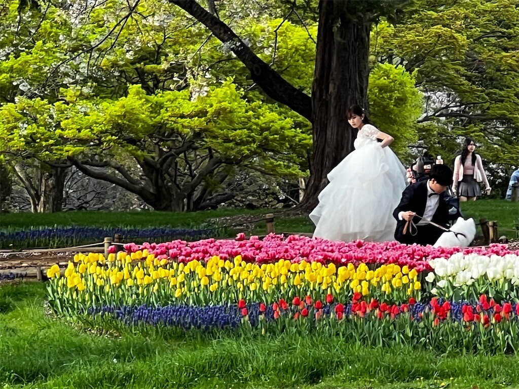 f:id:samso:20240411225008j:image