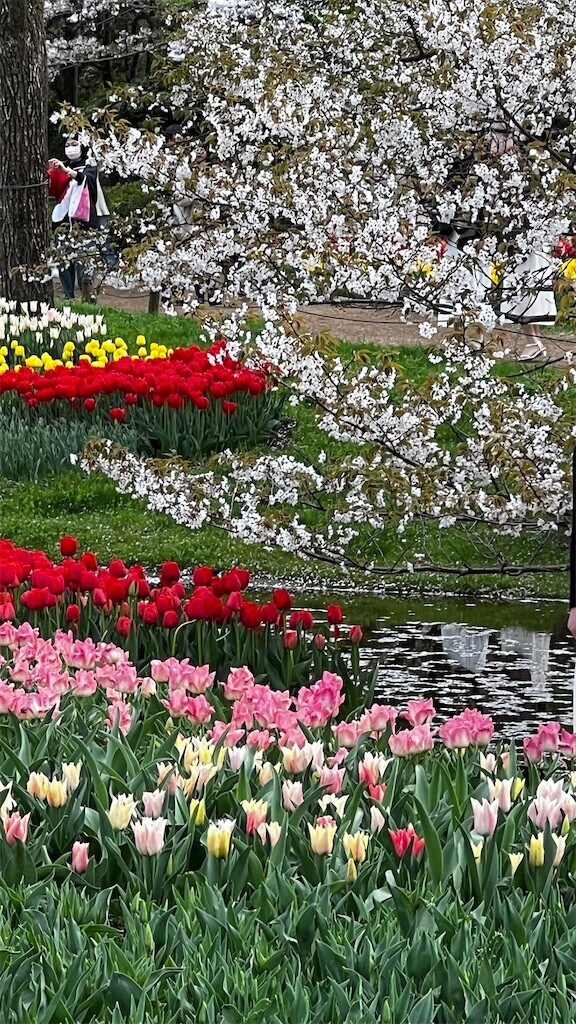 f:id:samso:20240411225021j:image