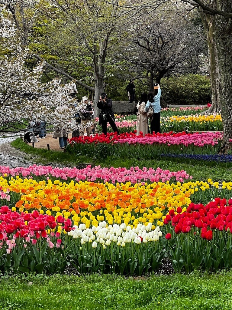 f:id:samso:20240411225025j:image