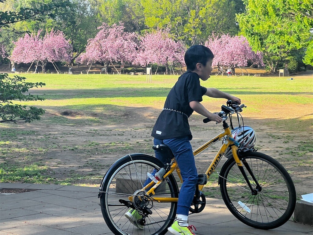 f:id:samso:20240419225817j:image