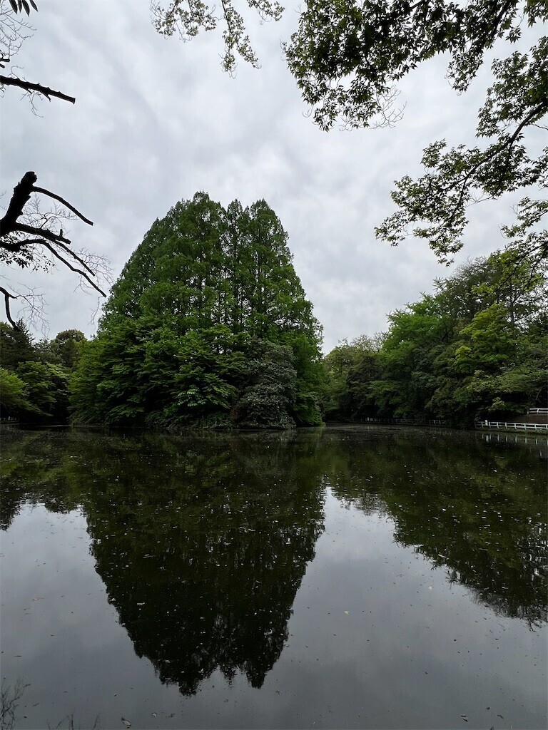 f:id:samso:20240426200502j:image