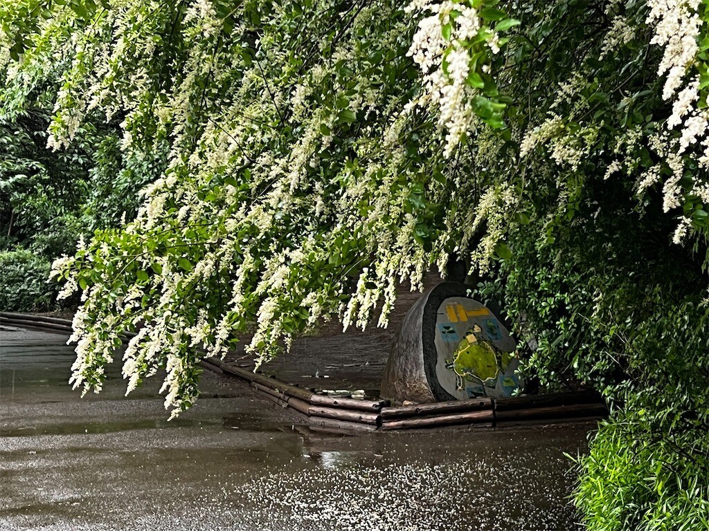 f:id:samso:20240513211819j:image f:id:samso:20240513211819j:image