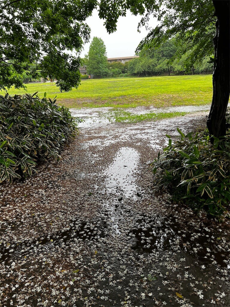 f:id:samso:20240513211821j:image f:id:samso:20240513211821j:image