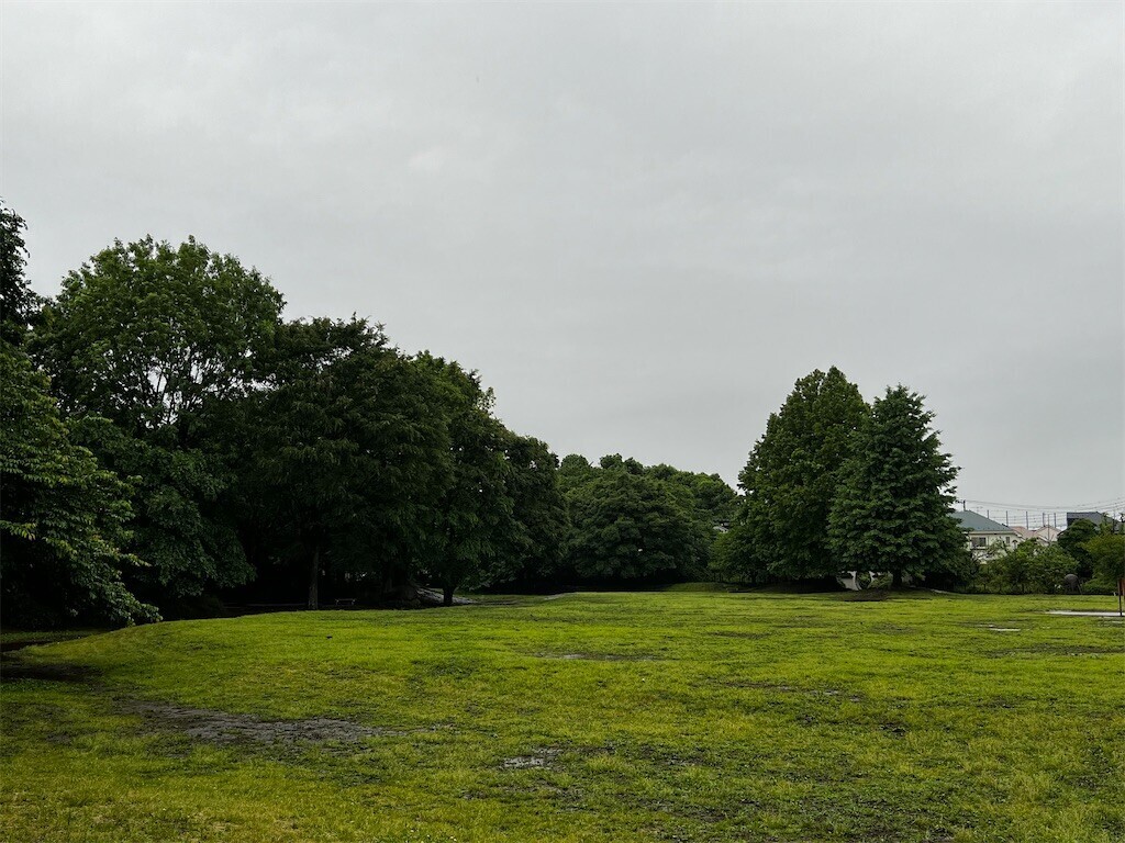 f:id:samso:20240513211829j:image f:id:samso:20240513211829j:image