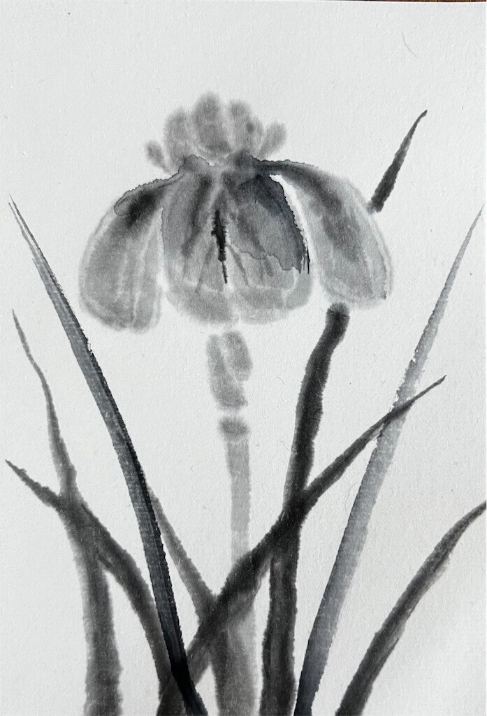 f:id:samso:20240513211849j:image f:id:samso:20240513211849j:image