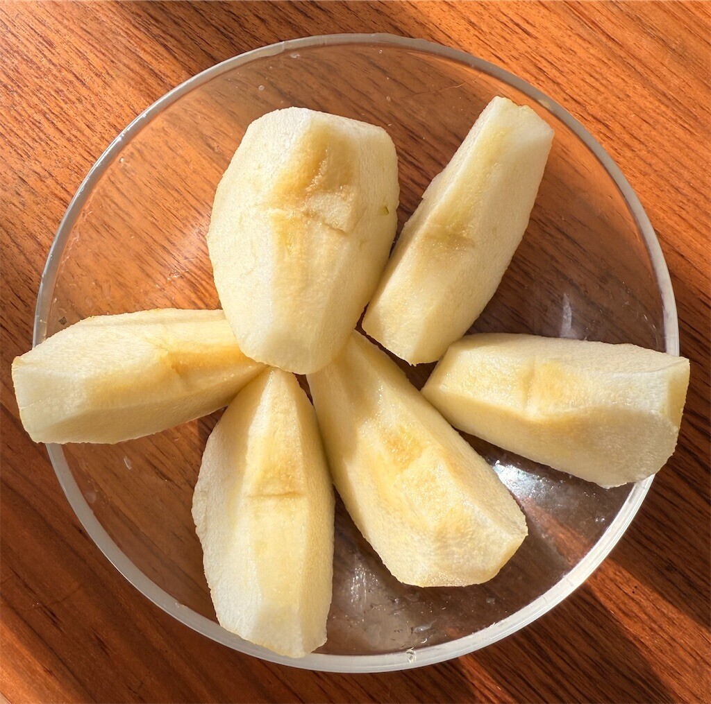 f:id:samso:20241207222614j:image