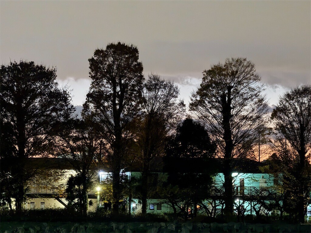 f:id:samso:20241207222638j:image