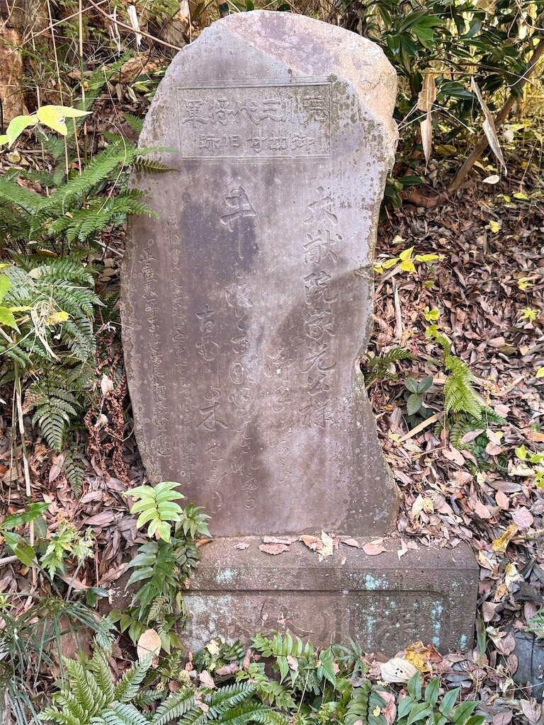 f:id:samso:20241208223537j:image