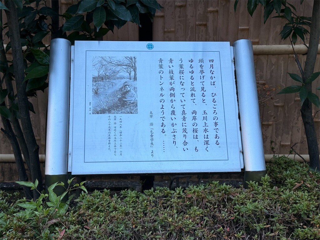 f:id:samso:20241208223545j:image