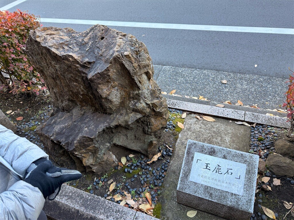 f:id:samso:20241208223603j:image