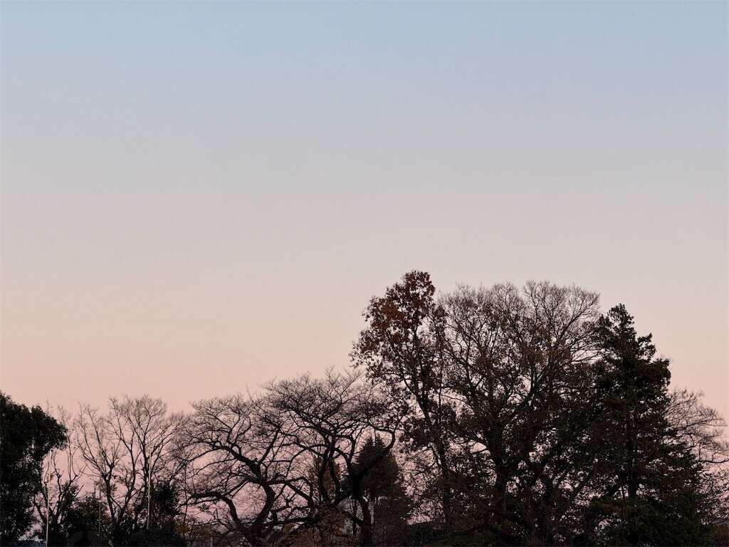 f:id:samso:20241219215153j:image