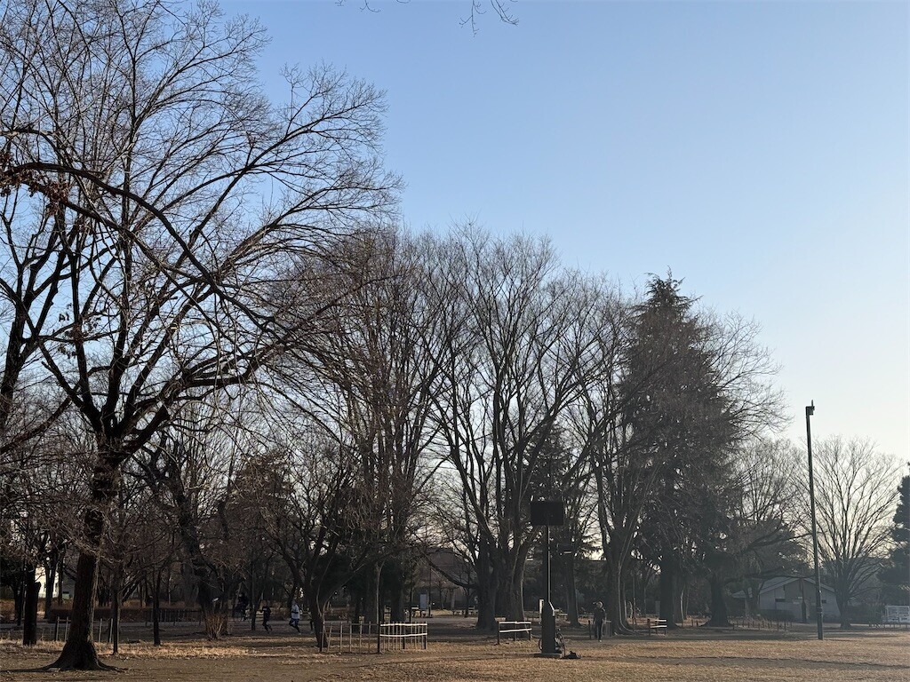 f:id:samso:20250213213953j:image