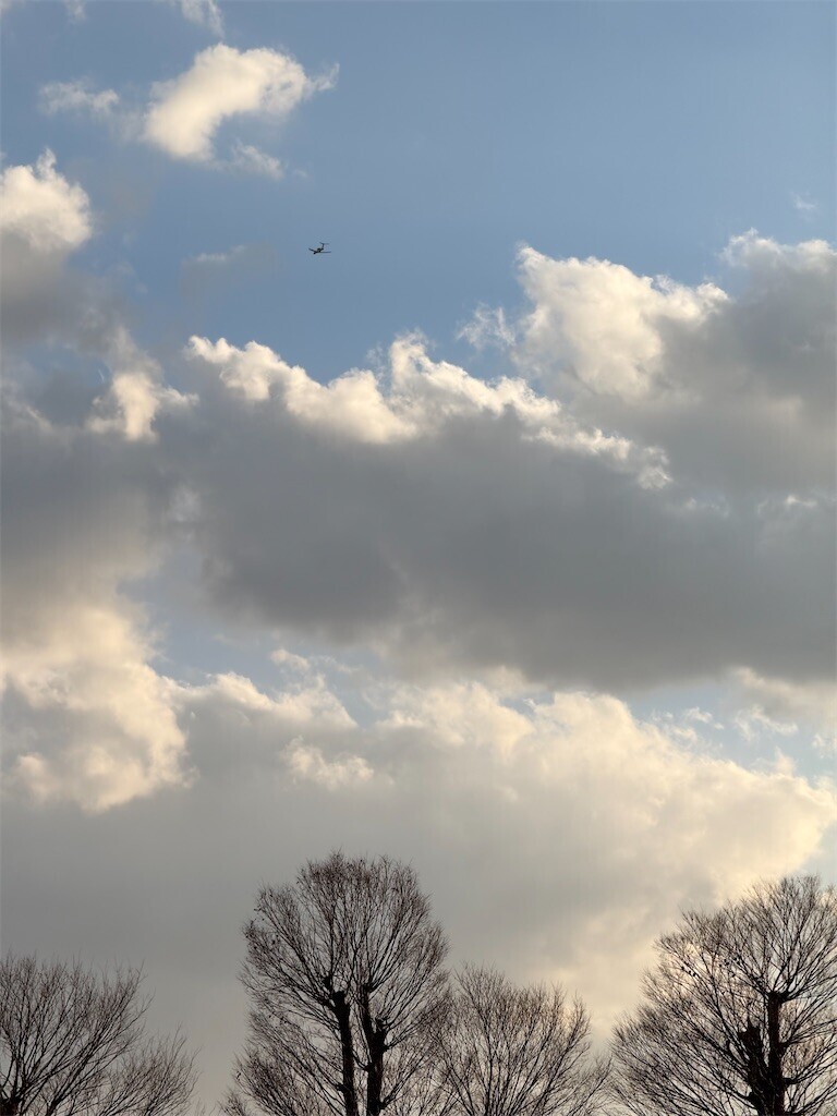 f:id:samso:20250217220123j:image