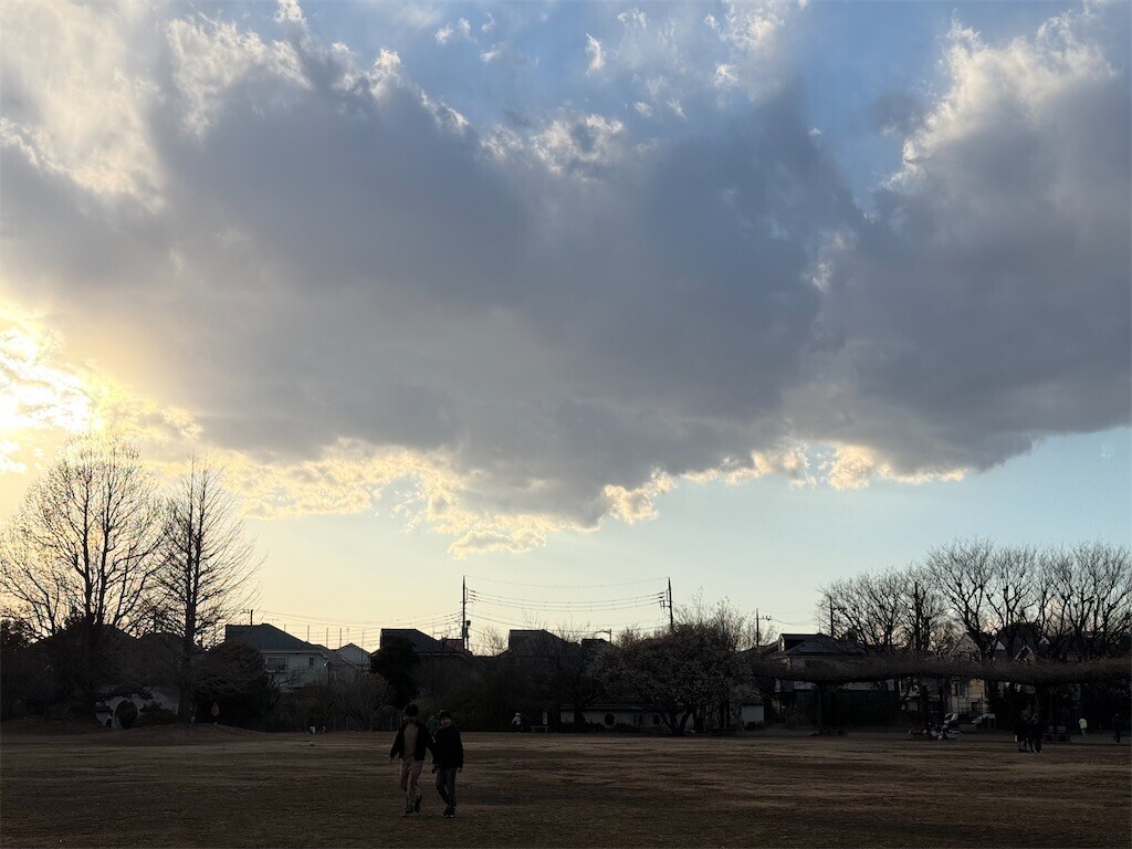 f:id:samso:20250217220126j:image