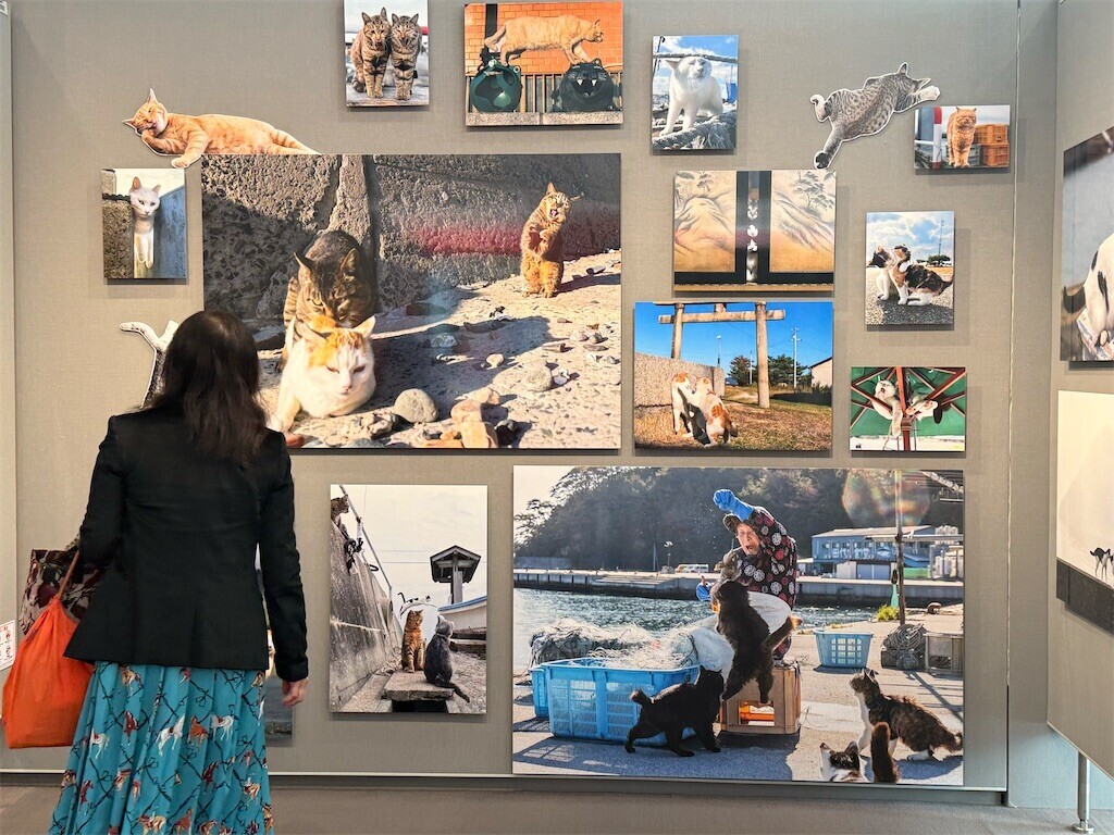 f:id:samso:20250225211657j:image