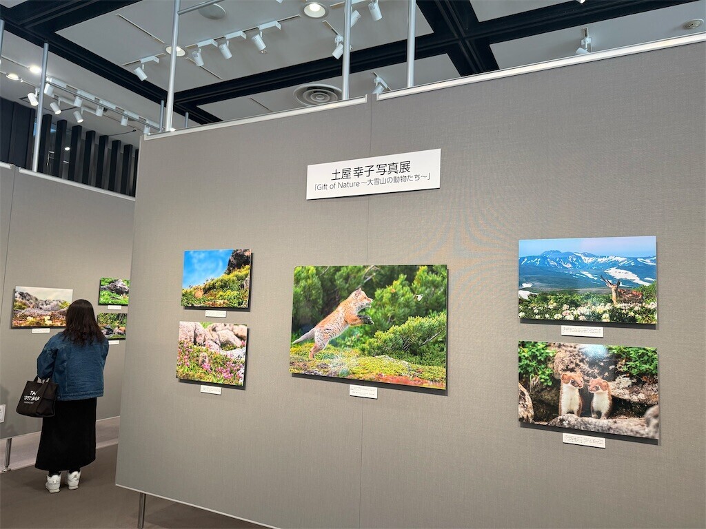 f:id:samso:20250225211700j:image