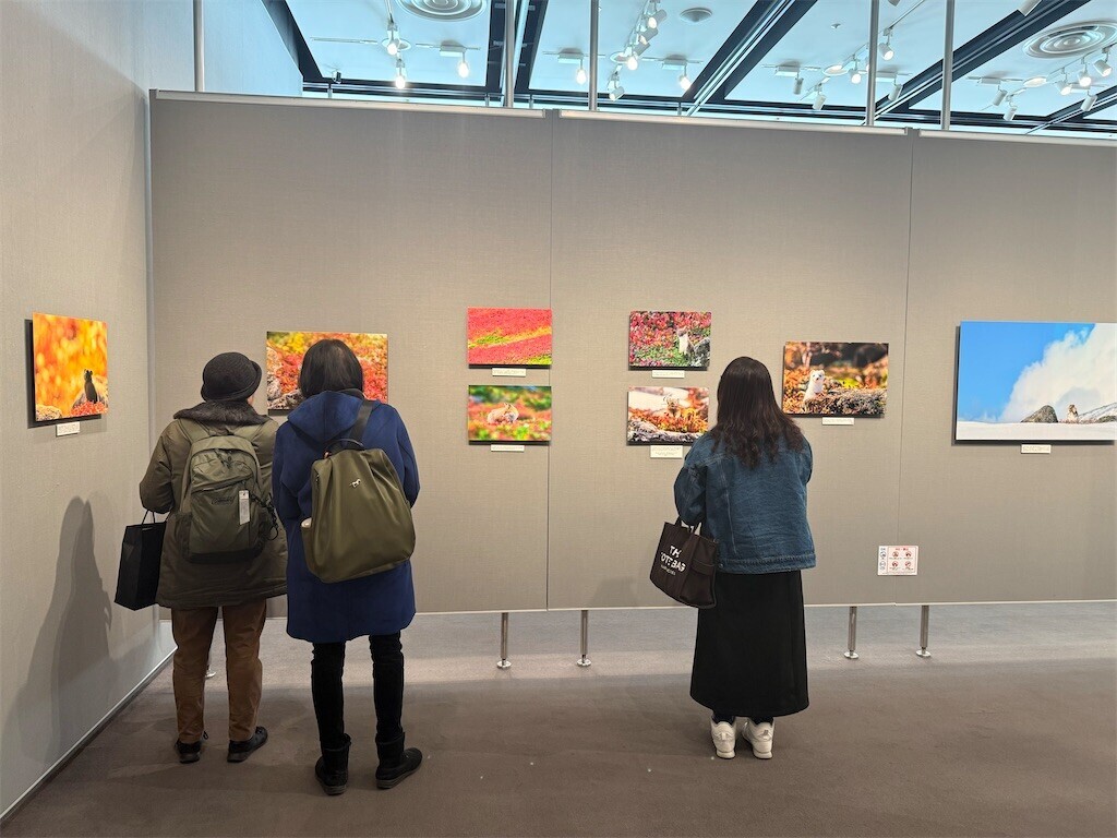 f:id:samso:20250225211708j:image