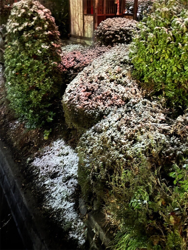 f:id:samso:20250304221549j:image