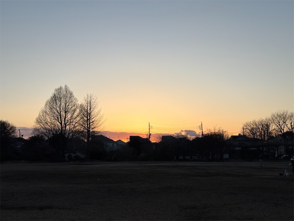 f:id:samso:20250309212740j:image