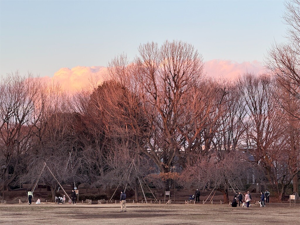 f:id:samso:20250309212744j:image