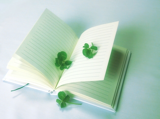 f:id:samu11:20160601133303j:plain