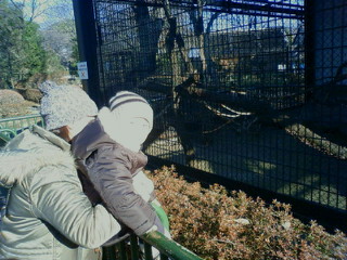 f:id:samuraiRed:20090112092200j:image