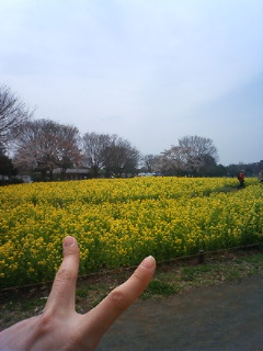 f:id:samuraiRed:20090404101700j:image