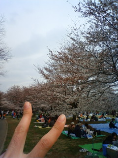 f:id:samuraiRed:20090404102200j:image