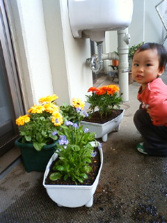 f:id:samuraiRed:20090404163400j:image