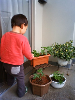 f:id:samuraiRed:20090405163400j:image