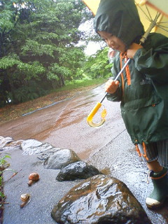 f:id:samuraiRed:20090606110400j:image