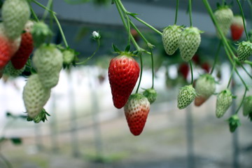 20100211103140