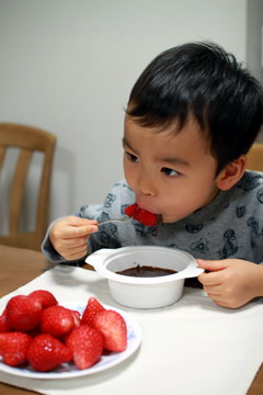 f:id:samuraiRed:20100417205802j:image
